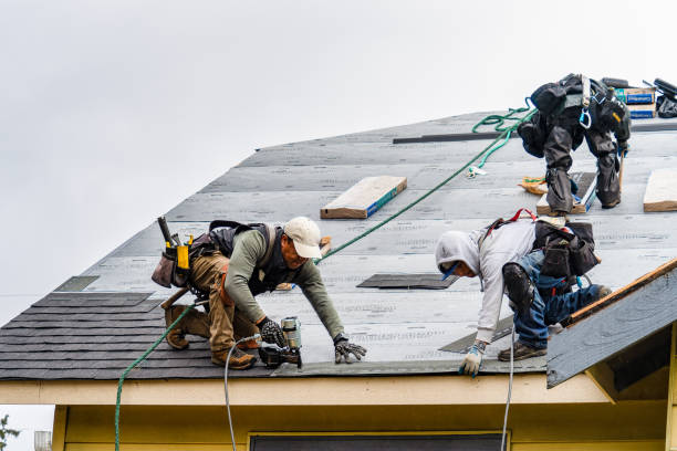 Professional Roofing technician working in Lansing, IA